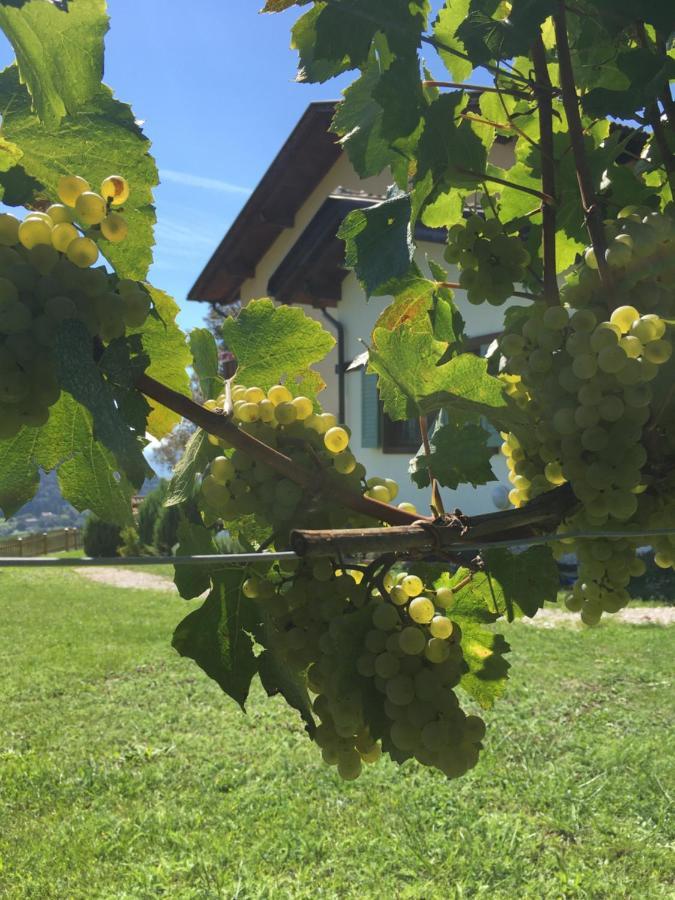 B&B La Casa In Collina Trento Dış mekan fotoğraf