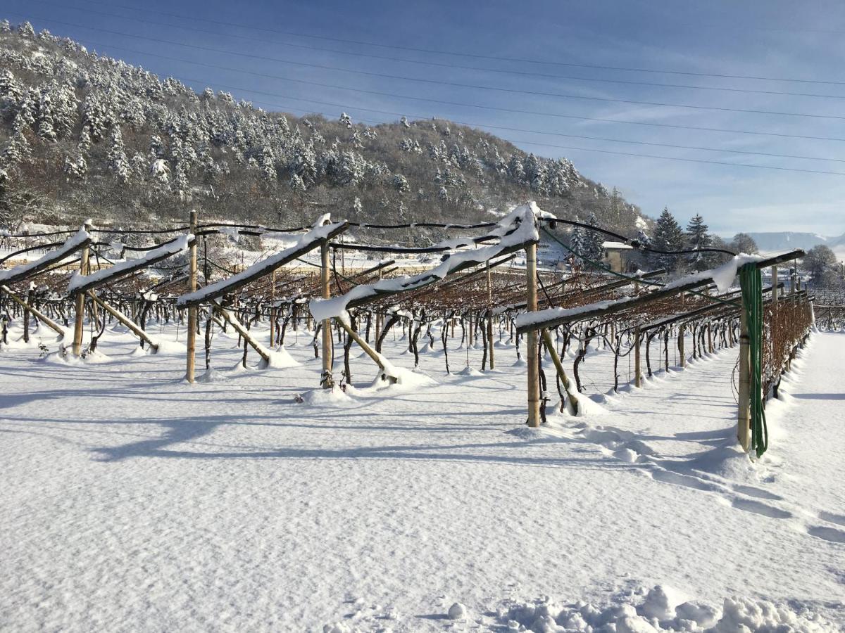 B&B La Casa In Collina Trento Dış mekan fotoğraf